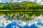 Colorful Ala Wai Canal reflection, Honolulu, Oahu, Hawaii. Art Print